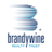 BDN logo