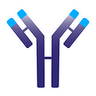 IMVT logo